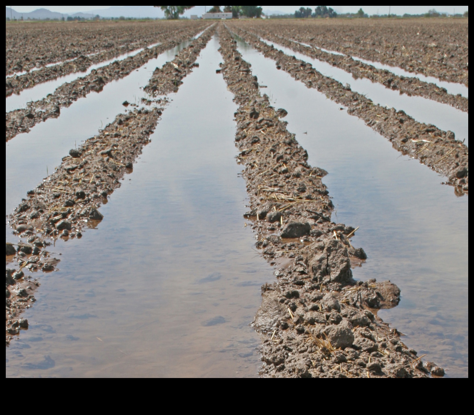 בניית חוסן: אסטרטגיות למלחמה במחסור בתזונה