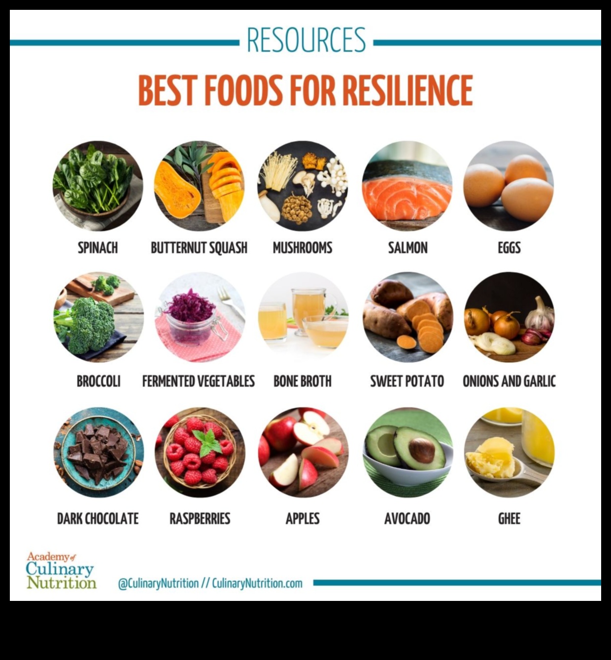 בניית חוסן: אסטרטגיות למלחמה במחסור בתזונה