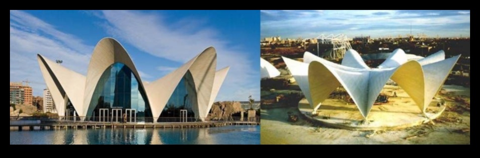 אלגנטיות אדריכלית: שרטוט היופי של מבנים