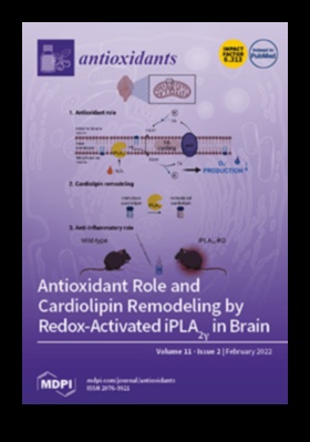 נוגדי חמצון נחשפו: חושפים את הסודות לביצועים שיא