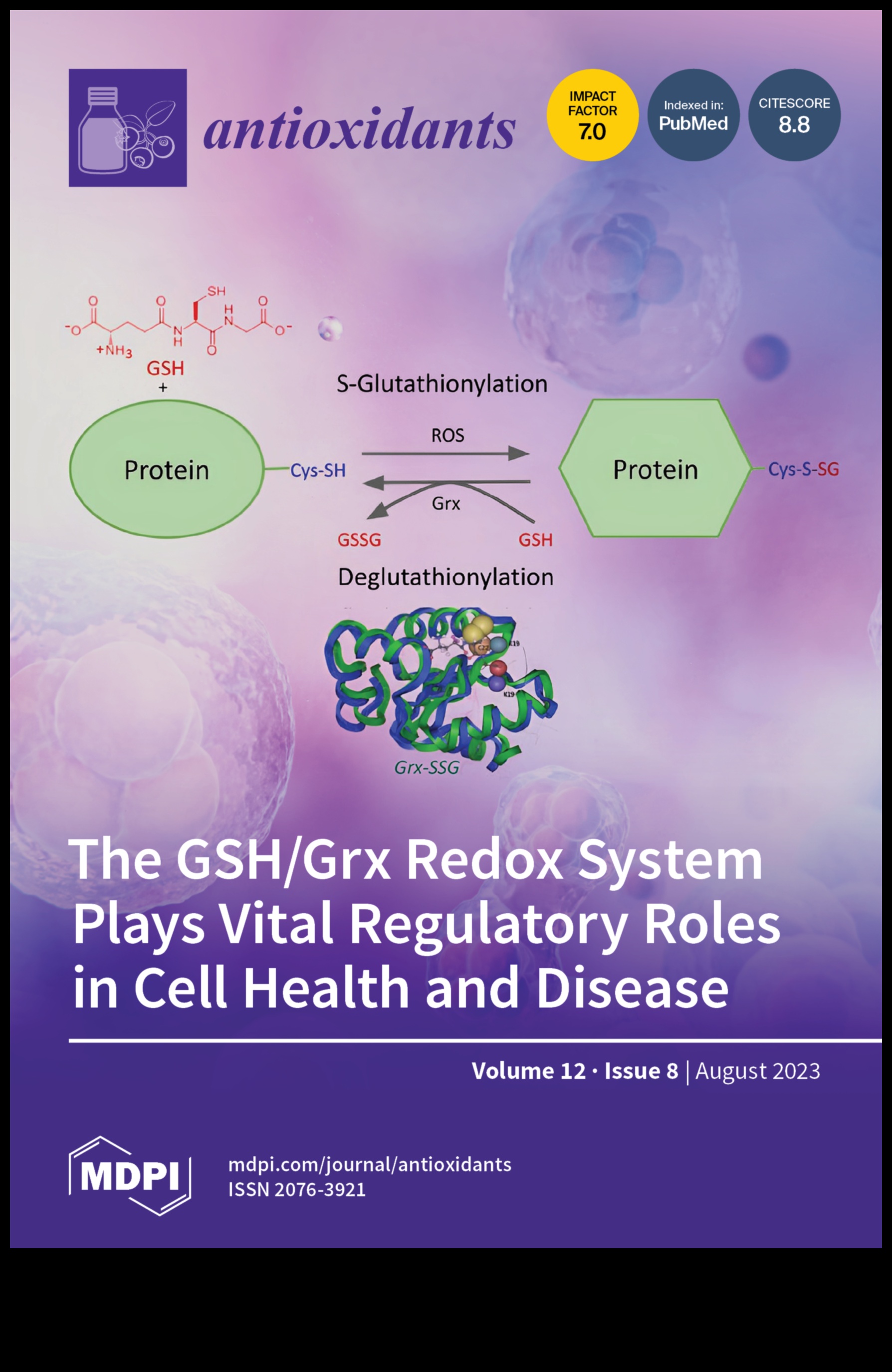 נוגדי חמצון נחשפו: חושפים את הסודות לביצועים שיא