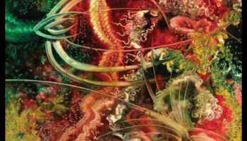 Outsider Art Oasis: חוגגים יצירתיות לא שגרתית