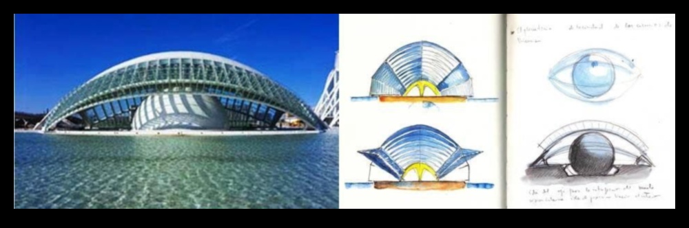 אלגנטיות אדריכלית: שרטוט היופי של מבנים