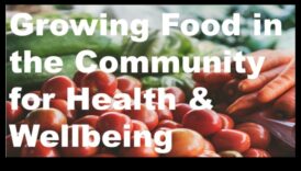 הזנה קהילתית: תזונת בריאות הציבור בבסיסה