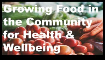 הזנה קהילתית: תזונת בריאות הציבור בבסיסה