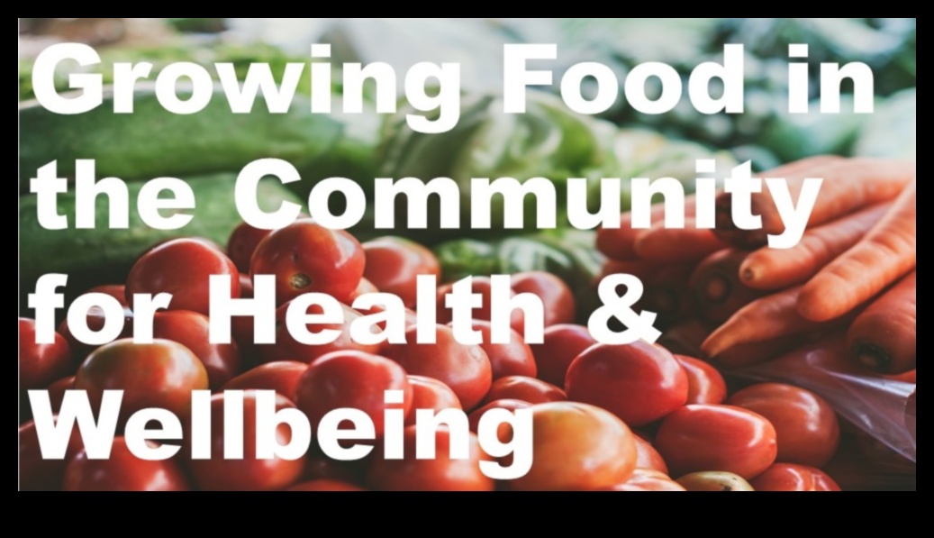 הזנה קהילתית: תזונת בריאות הציבור בבסיסה