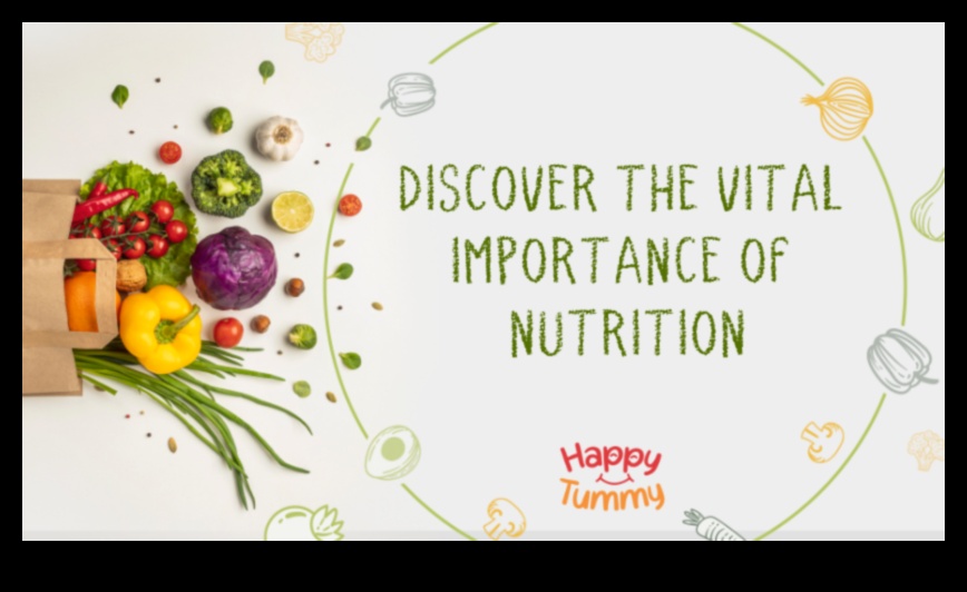 כוחם של חומרים מזינים: הזנת הגוף שלך מבפנים