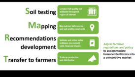 בניית חוסן: אסטרטגיות למלחמה במחסור בתזונה