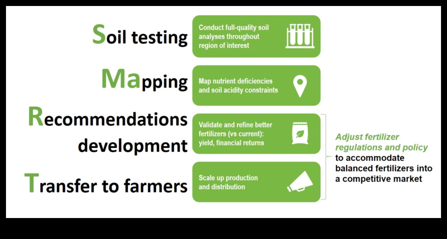 בניית חוסן: אסטרטגיות למלחמה במחסור בתזונה