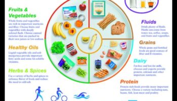 לוחית שנות הזהב: ניווט בצרכים תזונתיים בתזונה גריאטרית