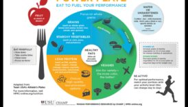 מצלחת לכוח: תזונה טרנספורמטיבית לפיקוח חיים