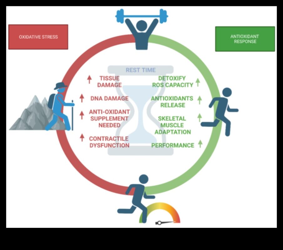 נוגדי חמצון נחשפו: חושפים את הסודות לביצועים שיא
