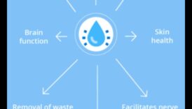 ספקטרום הידרציה: חקר צבעי הרווחה