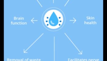 ספקטרום הידרציה: חקר צבעי הרווחה